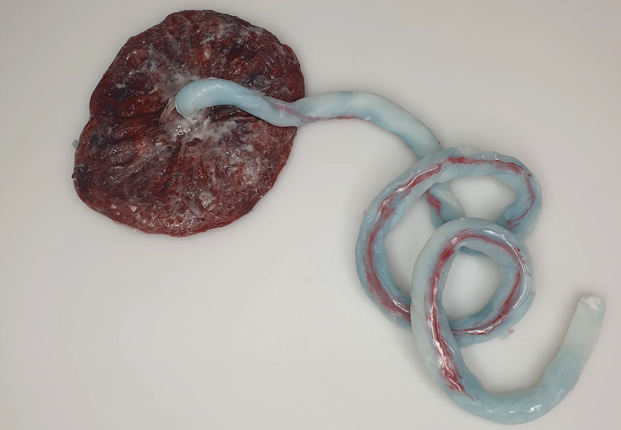 Captura de pantalla 2025-07-01 a la(s) 9.09.39 a.m.